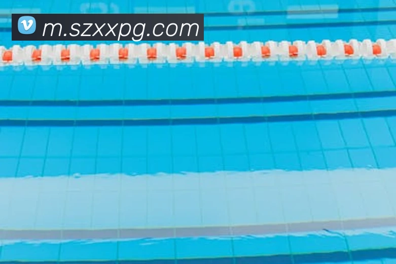 pg官网平台生态图